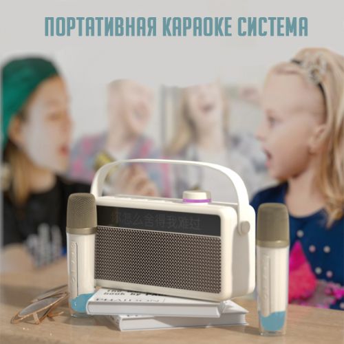 Портативная колонка караоке система с двумя микрофонами Karaoke Speaker Shinco HC-912